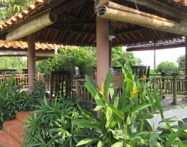 Dịch vụ Thi Công Sân Vườn Nhà Hàng tại Hóc Môn