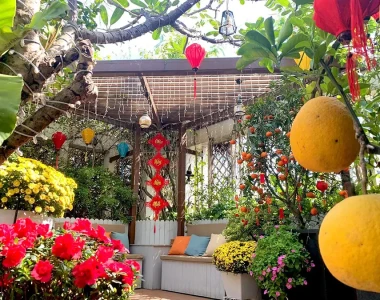 Chăm Sóc Sân Vườn Dịp Tết Tại TP.HCM