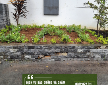 Bảo dưỡng sân vườn biệt thự