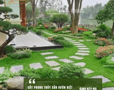 Cây phong thủy sân vườn biệt thự – Bí quyết chọn cây hợp mệnh, hút tài lộc