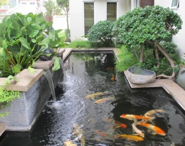 BÁO GIÁ HỒ CÁ KOI BIỆT THỰ TRỌN GÓI – TIẾT KIỆM CHI PHÍ, CHẤT LƯỢNG HOÀN HẢO